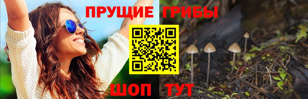 Рузаевка  Псилоцибиновые грибы MAGIC MUSHROOMS  Галлюциногенные грибы Cubensis  Вход с VPN 